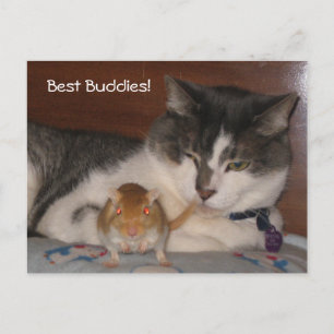 Best Buddies Postcard Postkarte