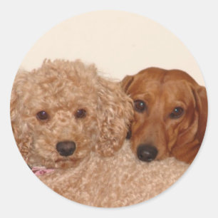 Best Buds Runder Aufkleber