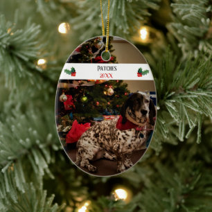 Best Christmas Ever Pet Foto Template Keramik Ornament