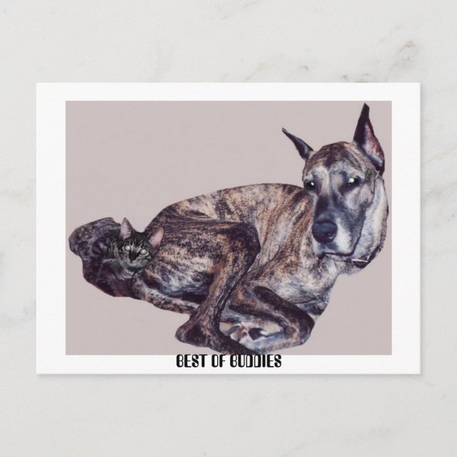 BEST DER HAUSHALTE POSTKARTE (Vorderseite)