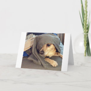 BEST FRIEND aus dem Tierheim ist ein Gruß Karte