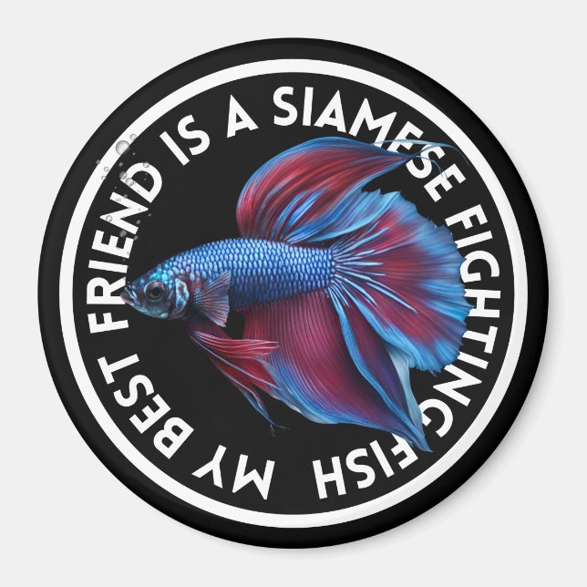 Best Friend Blue Red Betta Fish Magnet (Vorne)