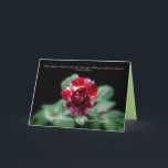 Best Friend Happy Birthday Red Striped Rose Card Karte<br><div class="desc">Schöne rote Rosen schmücken die Vorder- und Rückseite dieser Karte.</div>