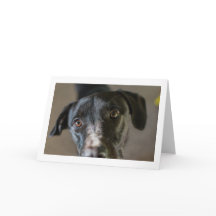 "Best Friend" leere gefaltete Grußkarte