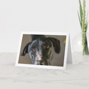 "Best Friend" leere gefaltete Grußkarte Karte