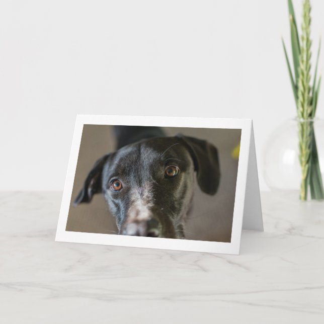 "Best Friend" leere gefaltete Grußkarte Karte (Vorderseite)