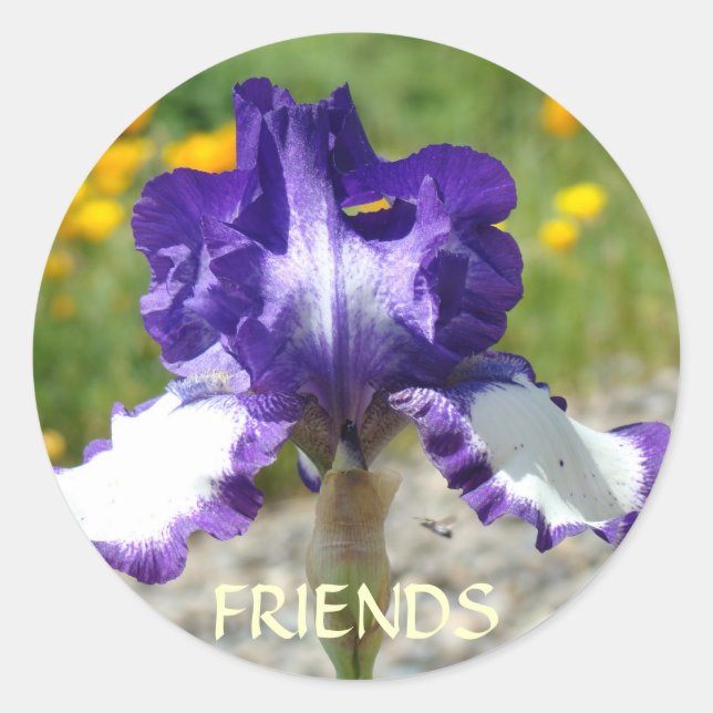 BEST FRIEND STICKERS Lila Iris Blume Geschenke (Vorderseite)