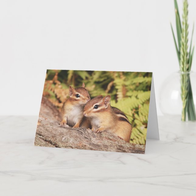 Best Friends Baby Chipmunks Karte (Vorderseite)