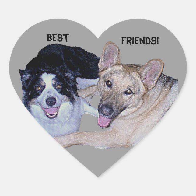 Best Friends Border Collie & German Shepherd Herz-Aufkleber (Vorderseite)