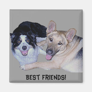 Best Friends Border Collie & German Shepherd Magnet