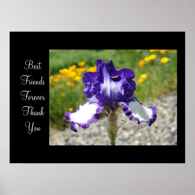 Best Friends Forever Danke, dass Sie Kunstdrucke I Poster (Vorne)