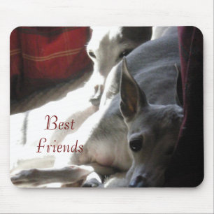 "Best Friends" italienisches Windhund-Foto Mousepad