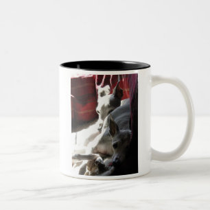 "Best Friends" italienisches Windspiel-Foto Zweifarbige Tasse