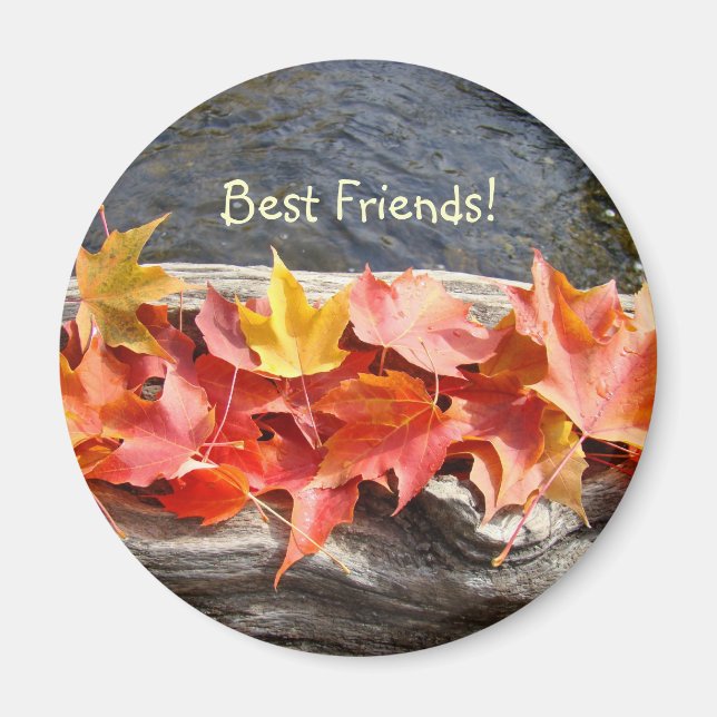 Best Friends! Magnet River Water Driftwood Blätter (Vorne)