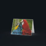 Best Friends Note Card Karte<br><div class="desc">Zwei Makaws verbringen den Nachmittag damit,  einander zu pflegen. Die Karte kann mit eigenem Text angepasst werden. Wählen Sie Ihren Schriftart und Farbe. Benutzen Sie die Karte als Geburtstagseinladung oder Dankeschön-Karte. Viele Möglichkeiten.</div>