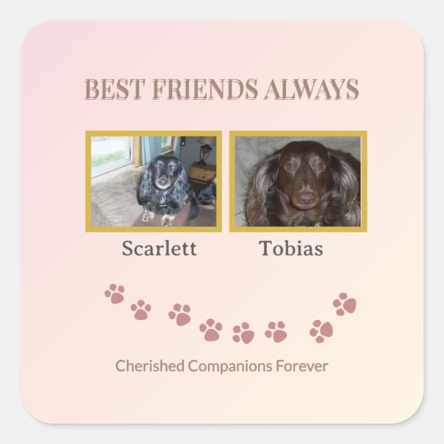 Best Friends Pawprint Quadratischer Aufkleber (Vorderseite)