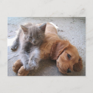 Best Friends Postcard Postkarte