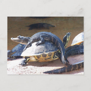 Best Friends Postkarte