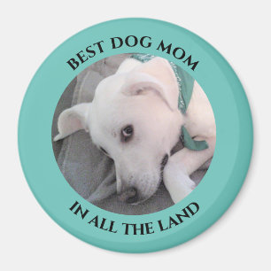 Best Hund Mama Foto Niedlich Weiße Welpe Hund Blue Magnet
