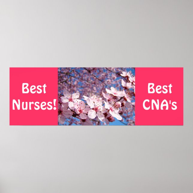 Best Nurses Poster Beste CNAs Drucke Pflegen (Vorne)