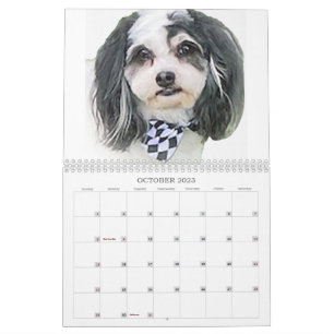 Best of K-Cee Niedlich Zuchon Dog 2023-2024 Kalend Kalender