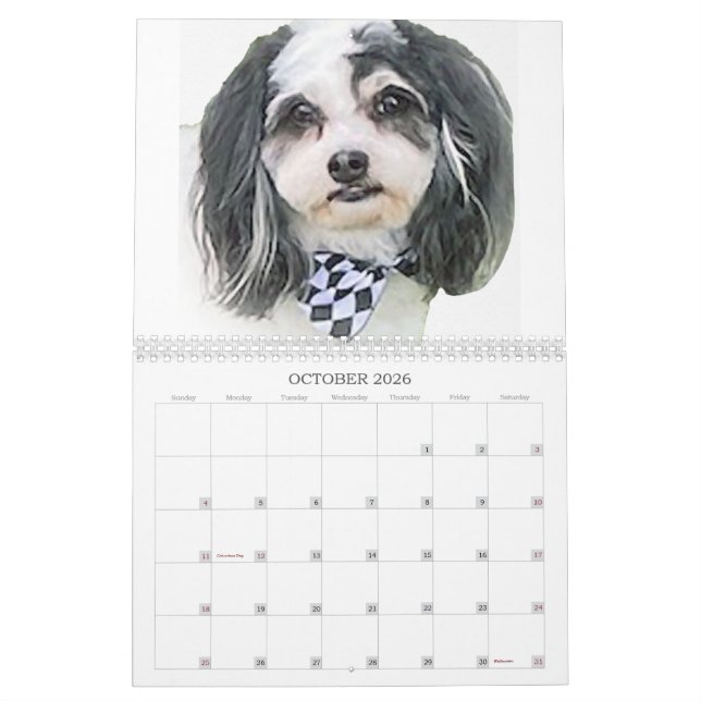 Best of K-Cee Niedlich Zuchon Dog 2023-2024 Kalend Kalender (Okt 2026)