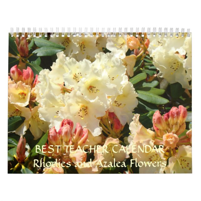 BEST TEACHER gibt Kalender Azalea Rhodies Geschenk (Titelbild)