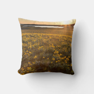 Bestand aus Arrowleaf Balsamroot Wildblumen Kissen