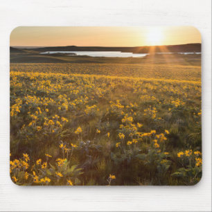 Bestand aus Pfeilblatt-Balsamwurzel-Wildblumen Mousepad