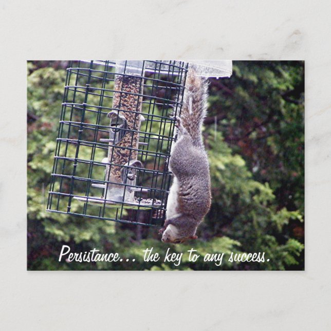 Beständigkeit Postkarte (Vorderseite)