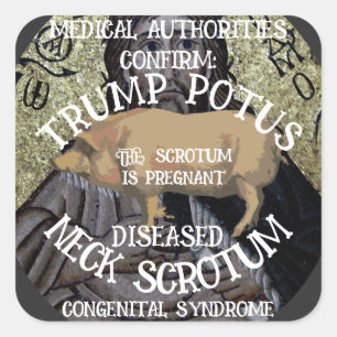 BESTÄTIGT, DASS TRUMP SCHWANGERSCHUTZ HAT QUADRATISCHER AUFKLEBER
