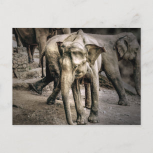 Bestätigung Postkarte