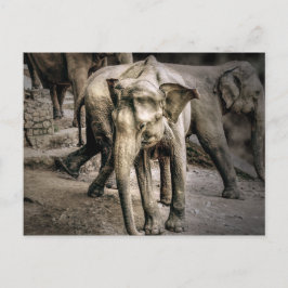 Bestätigung Postkarte