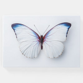 Bestattungsgast-Schmetterling Gästebuch