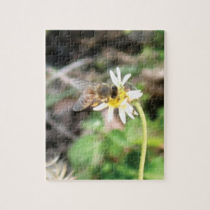 Bestäubende Honigbiene auf wilder Gänseblümchen-Bl Puzzle