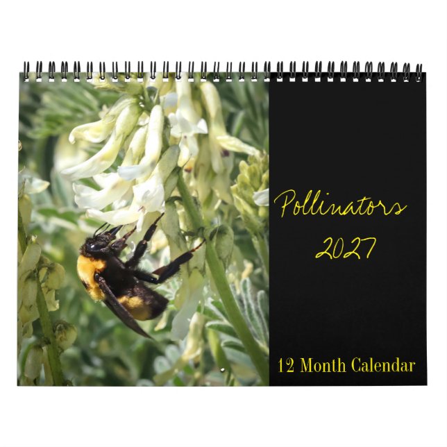 Bestäuber-Kalender 2027 Kalender (Titelbild)