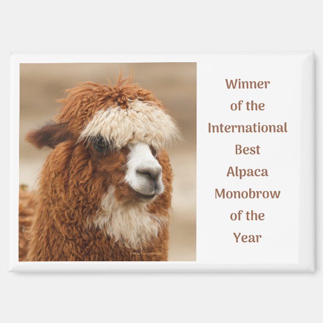 Beste Alpaka-Monobrow Magnet (Vorderseite)