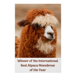 Beste Alpaka-Monobrow Poster