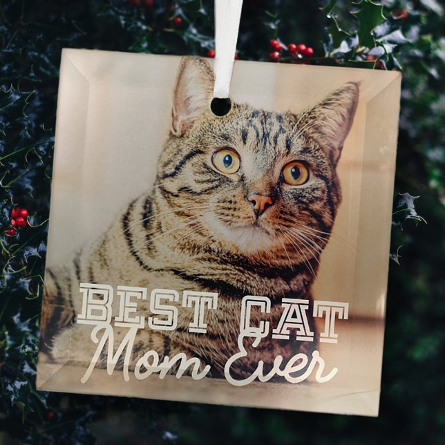 Beste Cat Mama je Modernes, benutzerdefiniertes Fo Ornament Aus Glas (Von Creator hochgeladen)