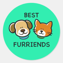 Beste Fellfreunde – Süßer Hund & Katze