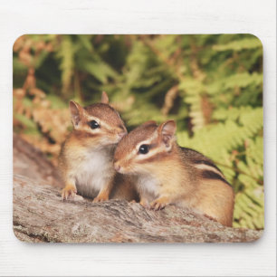 Beste Freund-BabyChipmunks Mousepad
