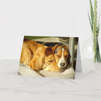 "Beste Freund-" Karte