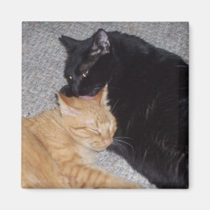 Beste Freund-Magnet Magnet