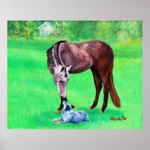 Beste Freund-Quarterhorse-australischer Vieh-Hund Poster