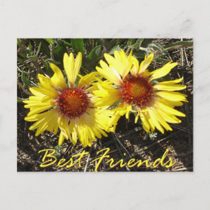 Beste Freunde Colorado Wilde Blume Postkarte