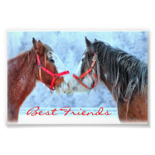 Beste Freunde Fotodruck