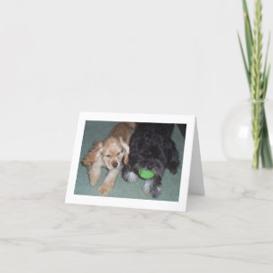 BESTE FREUNDE FÜR DEN BIRTHTAG WÜNSCHT SICH VON PÜ KARTE