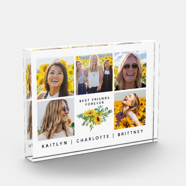 Beste Freunde für immer 5 Fotocollage Block (Links)