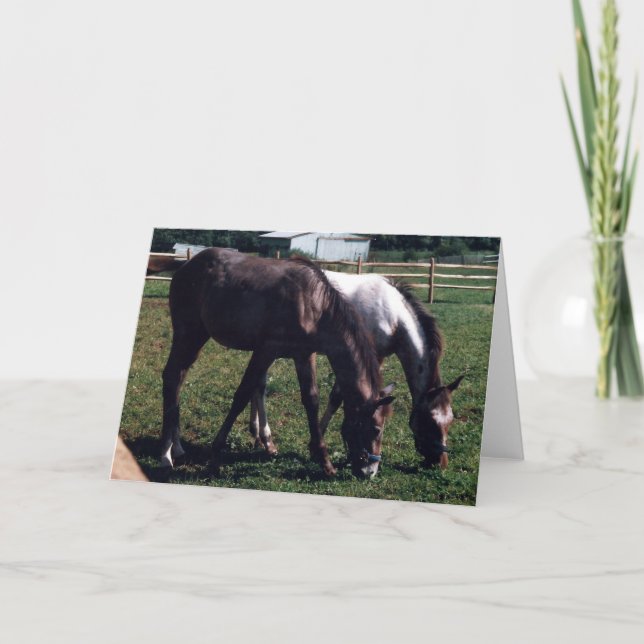 Beste Freunde Karte (Vorderseite)