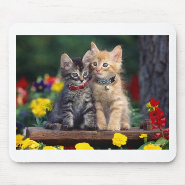 Beste Freunde Mousepad (Vorne)